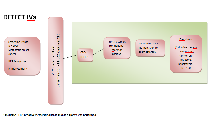 DETECT IVa